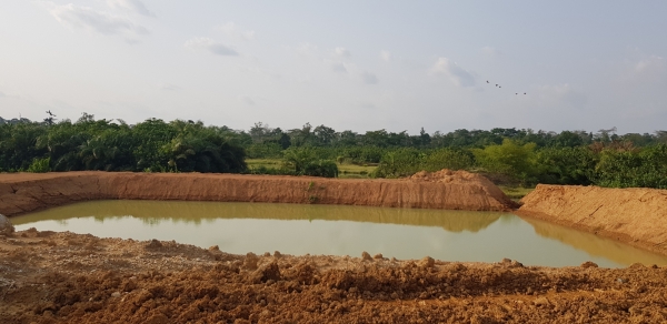 Site Preparation