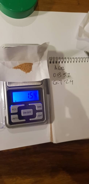 Prospecting  for Gold